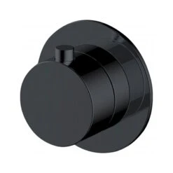 RAK Petit Round 2 Outlet Concealed Diverter Matt Black