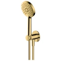 RAK Petit Round Wall Mounted Shower Set Brushed Gold