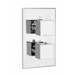 Sagittarius Immortals Leda Concealed 2 Way Shower Valve